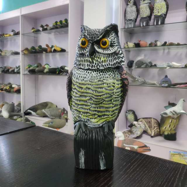 Outdoor Hunting Animal Model Supplies