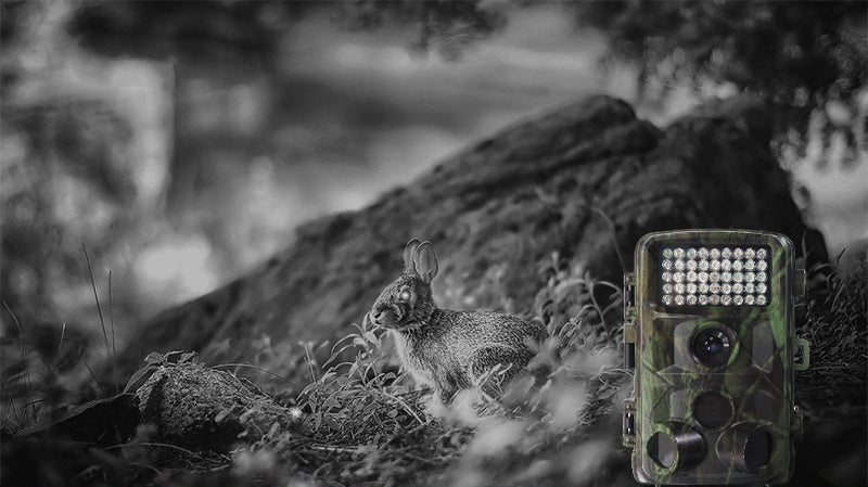 Wild Hunting Camera