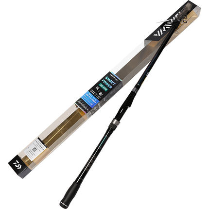 Sea Fishing Rod